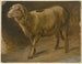 Moutons - Jakob Becker — widok dzieła