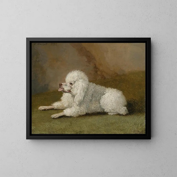 Portret pudla - Jakob Philipp Hackert — oprawiony obraz na ścianie