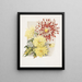 Daisies - James Callowhill — oprawiony obraz na ścianie