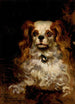 Le Duc de Marlborough, portret szczeniaka - James Carroll Beckwith — widok dzieła