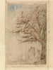 Akacja - James Ensor — widok dzieła