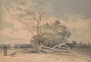 James Fuller Queen - Near Timber Creek Jersey shore.webp