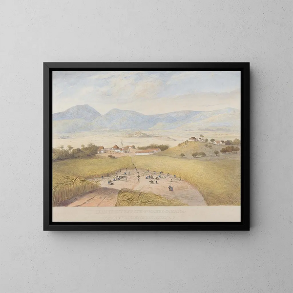 Domaine de Llanrumny, Sainte-Marie, Jamajka - James Hakewill — oprawiony obraz na ścianie