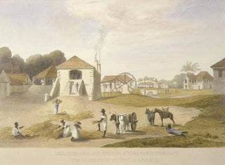 Cour de moulin, domaine Holland, Saint-Thomas à l'Est - James Hakewill — widok dzieła