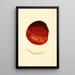 Malus domestica Spitzenberg - James Marion Shull — oprawiony obraz na ścianie