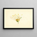 Prunus domestica Burbank - James Marion Shull — oprawiony obraz na ścianie