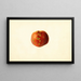 Prunus persica Sutler Cling - James Marion Shull — oprawiony obraz na ścianie