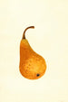 Pyrus communis Bosc - James Marion Shull — widok dzieła