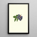 Vaccinium corymbosum Weymouth - James Marion Shull — oprawiony obraz na ścianie