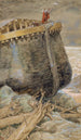 La Colombe revient vers Noé - James Tissot — widok dzieła