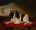 Un épagneul King Charles sur un coussin rouge - James Ward — widok dzieła