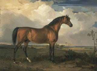 James Ward - Eagle a Celebrated Stallion.webp