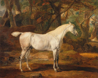 szarego konia arabskiego należący do Sir Watkin Williams-Wynn - James Ward — widok dzieła