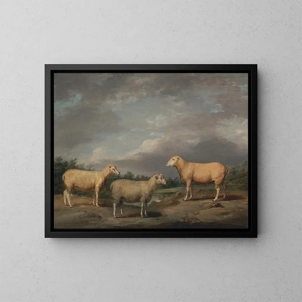 Moutons Ryelands, baran króla, owca króla i baran Lorda Somerville - James Ward — oprawiony obraz na ścianie