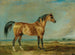 L'étalon arabe du marquis de Londonderry dans un paysage - James Ward — widok dzieła