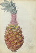 Ananas - Jan Brandes — widok dzieła