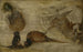 Studium małp, jelenia i innych zwierząt - Jan Brueghel młodszy — widok dzieła