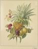 Ananas, śliwek i malin - Jan Evert Morel — widok dzieła