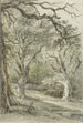 pejzażu leśnego - Jan Hulswit — widok dzieła