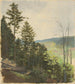Scrub Hill - Jan Nowopack — widok dzieła