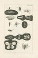 Le livre de la nature ou L'histoire des insectes Pl37 - Jan Swammerdam — widok dzieła