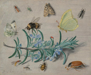 Jan Van Kessel The Elder - Insects and a Sprig of Rosemary.webp