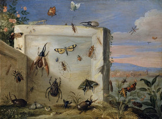 Jan Van Kessel The Elder - Insects on a Stone Slab.webp
