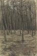pejzażu leśnego - Jan Veth — widok dzieła