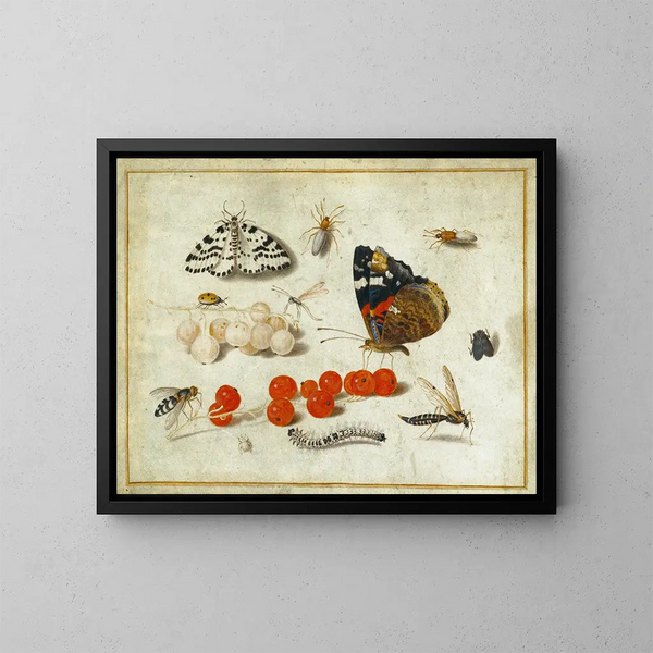 Papillon, chenille, mite, insectes et groseilles - Jan van Kessel le Jeune — oprawiony obraz na ścianie