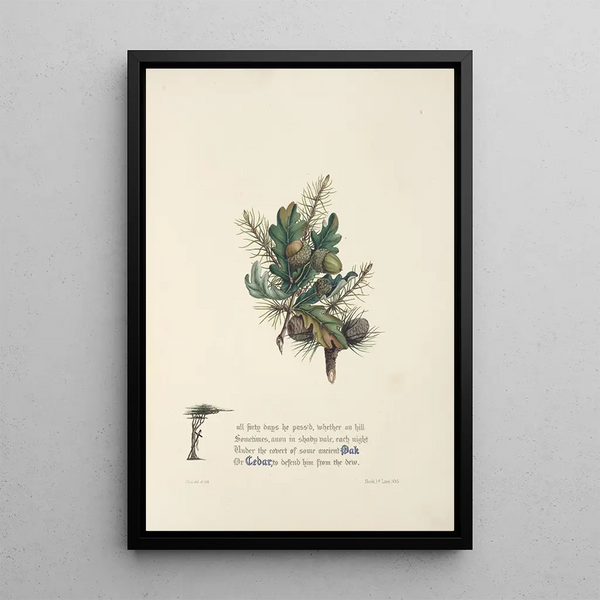 Jane Elizabeth Giraud - Oak and cedar.webp