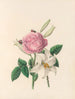 La fête des fleurs Pl01 - Jane Elizabeth Giraud — widok dzieła