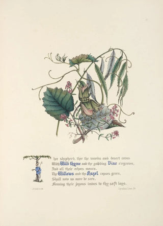 Jane Elizabeth Giraud - Wild Thyme Vine Willows and hazel.webp