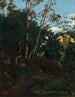 Bosquet d’arbres parmi les rochers, Civita Castellana - Jean - Baptiste Camille Corot — widok dzieła