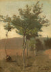 Bukiet drzew z efektem zmierzchu - Jean-Baptiste-Camille Corot — widok dzieła