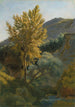 Studium drzewa w pobliżu potoku we Włoszech - Jean-Baptiste-Camille Corot — widok dzieła