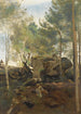 Fontainebleau Pins i brzozy na skałach - Jean-Baptiste-Camille Corot — widok dzieła