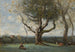 Le gros arbre, okolice Gournay - Jean-Baptiste-Camille Corot — widok dzieła