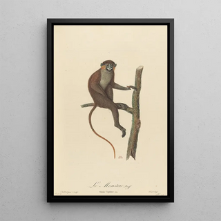 JeanBaptiste Audebert - Le Moustac.webp