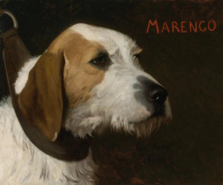 Marengo - Jean-Léon Gérôme — widok dzieła