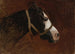 Profil konia - Jean-Léon Gérôme — widok dzieła