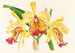 Cattleya aurea - Jean Jules Linden — widok dzieła