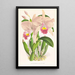 Cattleya Trianae - Jean Jules Linden — oprawiony obraz na ścianie
