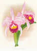 Cattleya Trianae var purpurata - Jean Jules Linden — widok dzieła
