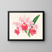 Cattleya gigas - Jean Jules Linden — oprawiony obraz na ścianie