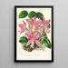 Cattleya nobilior - Jean Jules Linden — oprawiony obraz na ścianie