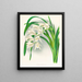 Mistrzowie Cymbidium - Jean Jules Linden — oprawiony obraz na ścianie