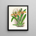 Cypripedium brillant - Jean Jules Linden — oprawiony obraz na ścianie