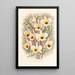 Dendrobium Falconeri - Jean Jules Linden — oprawiony obraz na ścianie