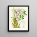 Dendrobium bursae - Jean Jules Linden — oprawiony obraz na ścianie