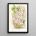 Dendrobium stratiotes - Jean Jules Linden — oprawiony obraz na ścianie